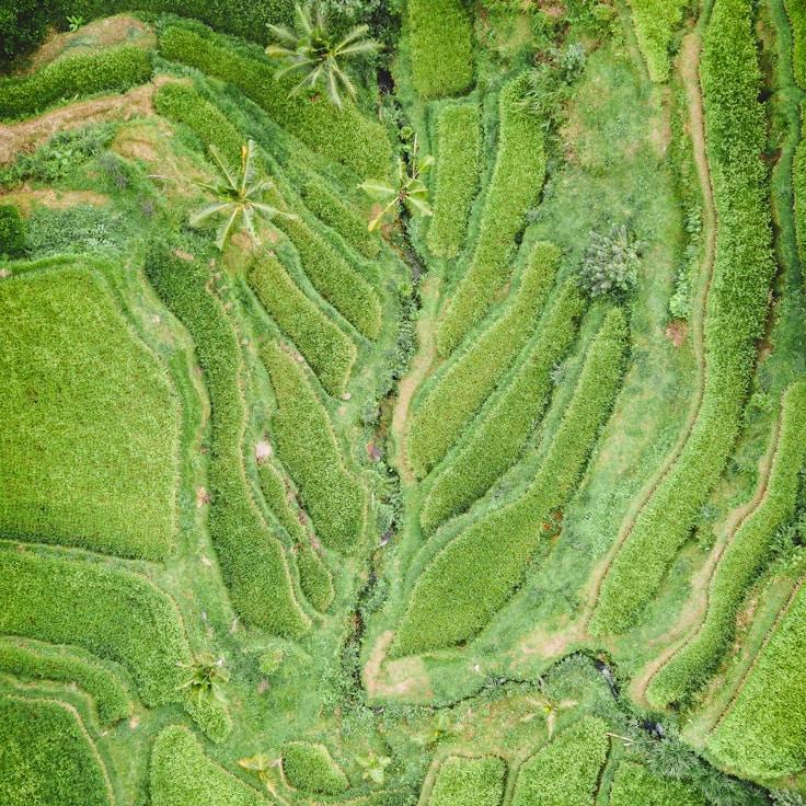 Kids playground area in Portugal